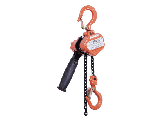 HOIST IP100250